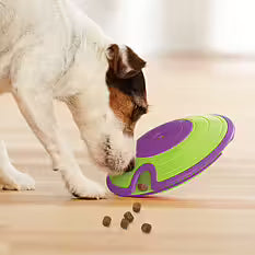 Dog Treat Maze - Nina Ottosson - Livello 2