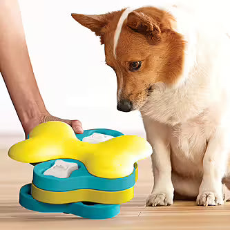 Dog Tornado - Nina Ottosson - Livello 2