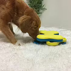 Dog Tornado - Nina Ottosson - Livello 2