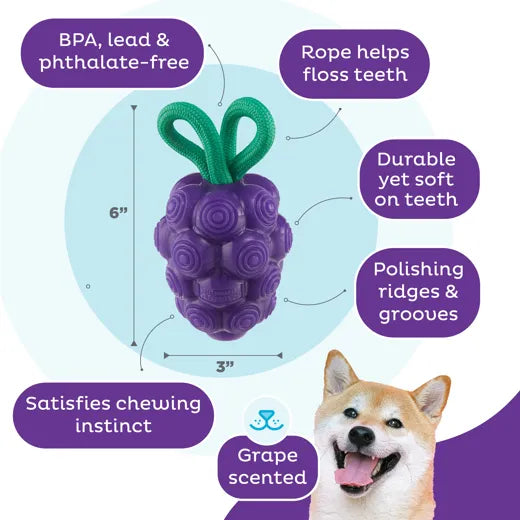 Uva multisensoriale Planet Dog