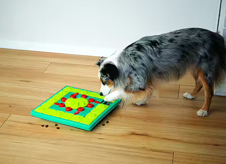 MultiPuzzle - Nina Ottosson - Livello 4