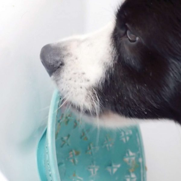 LickiMat Splash Turchese