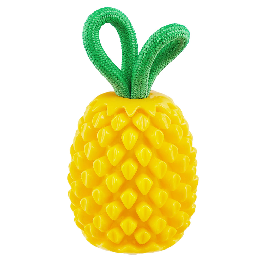 Ananas Multisensoriale Planet Dog