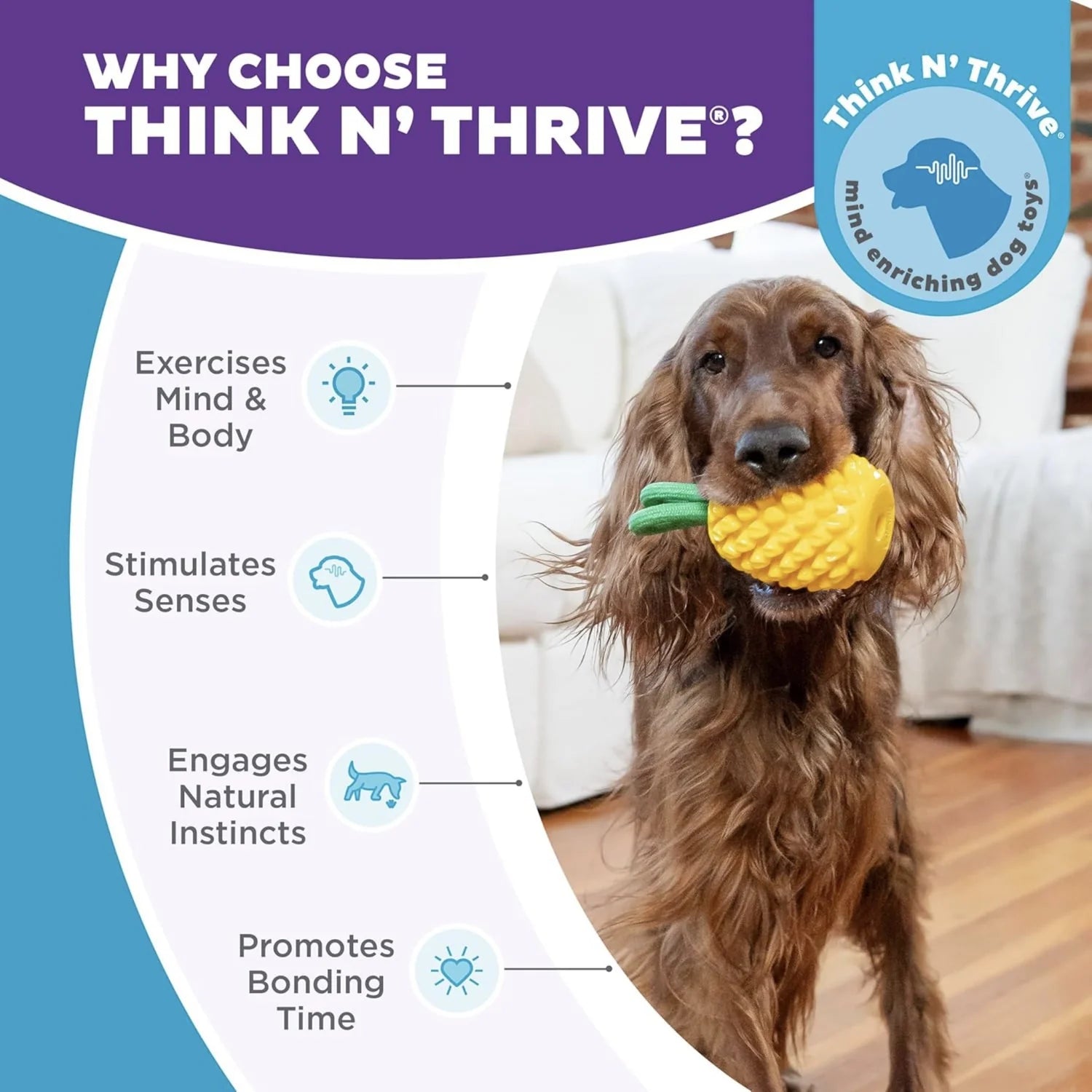 Ananas Multisensoriale Planet Dog