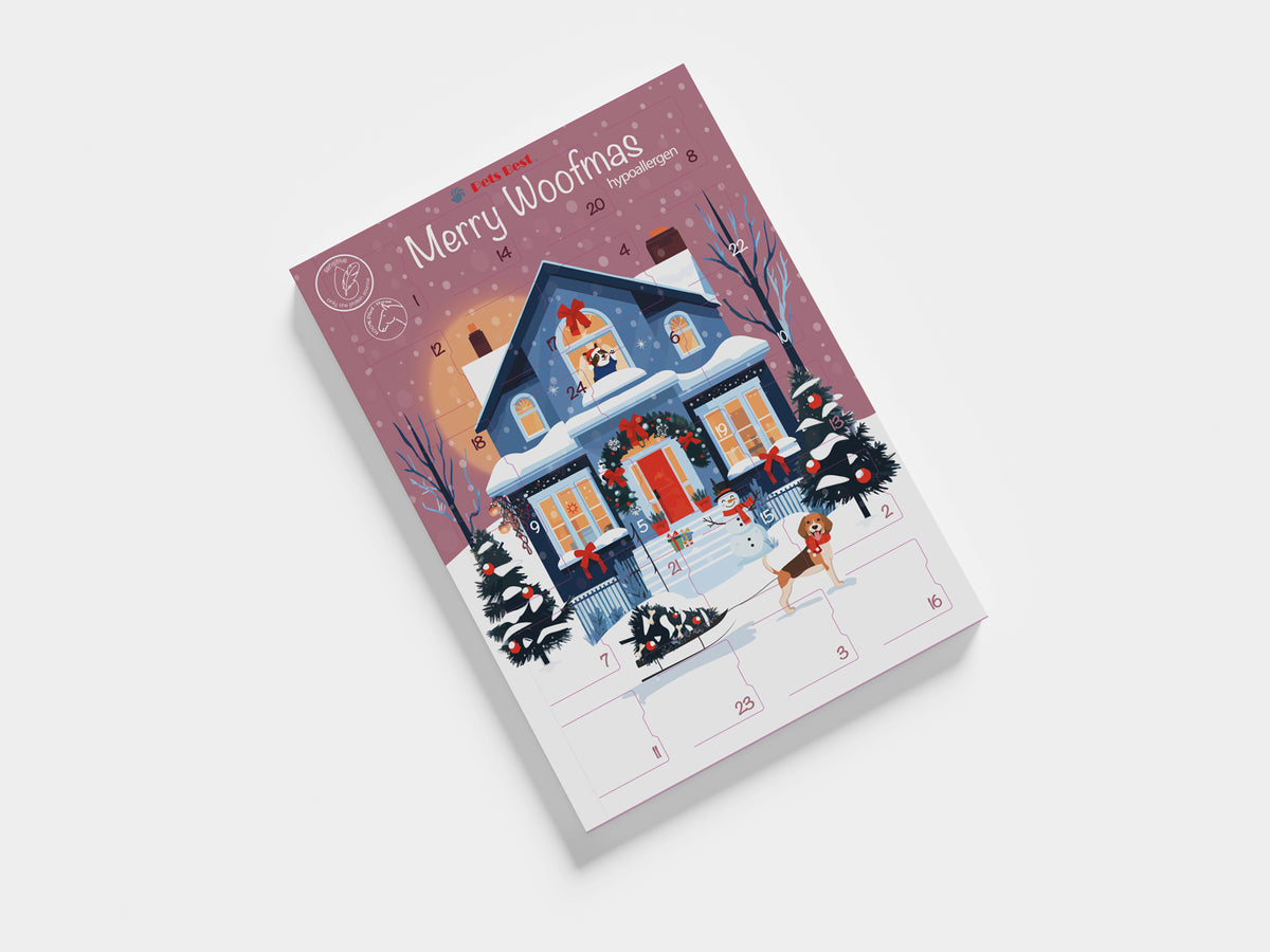 Calendario dell'avvento - Snowman's Christmas Morning (adatto anche a cani sensibili)